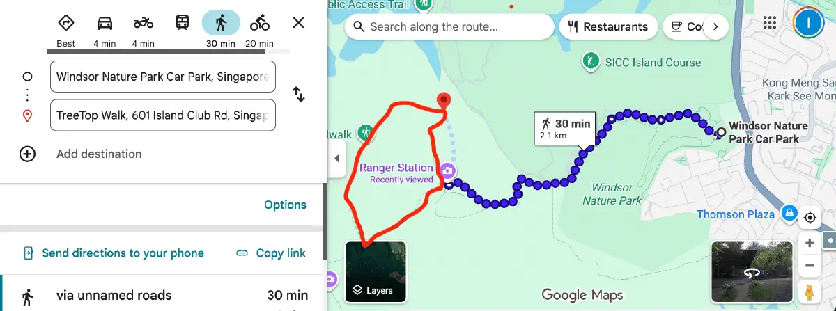 Gmaps Actual Tree Top Walk
